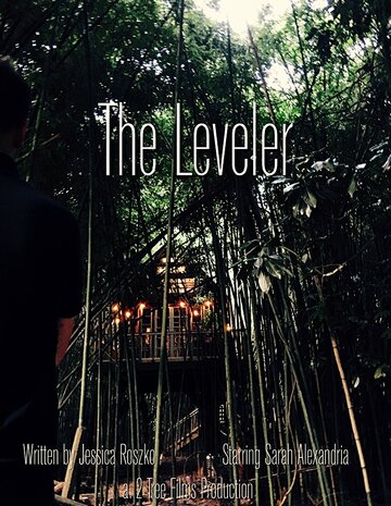 Постер фильма «The Leveler»