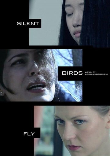 Постер фильма «Migrant Birds Fly»