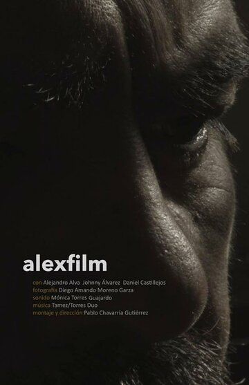 Постер фильма «Алексфильм»