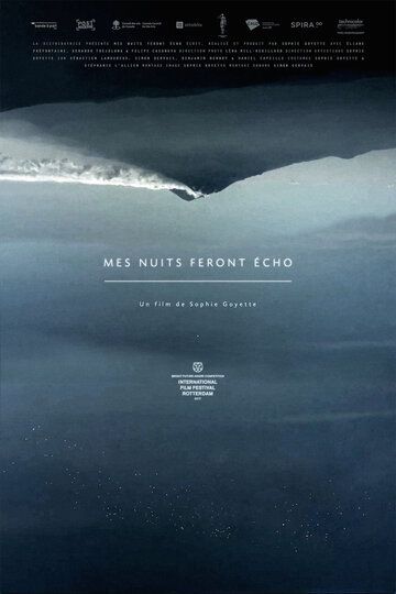 Постер фильма «Mes nuits feront écho»
