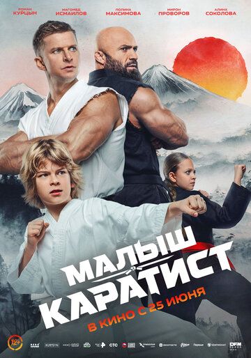 Постер фильма «Малыш-каратист»