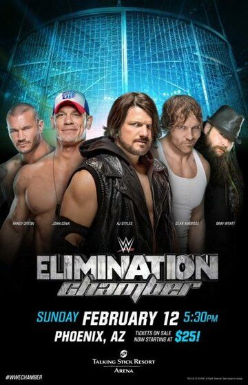Постер фильма «WWE Камера ликвидации»