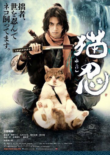 Постер фильма «Нинздя и кот»