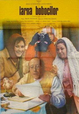 Постер фильма «Iarna bobocilor»