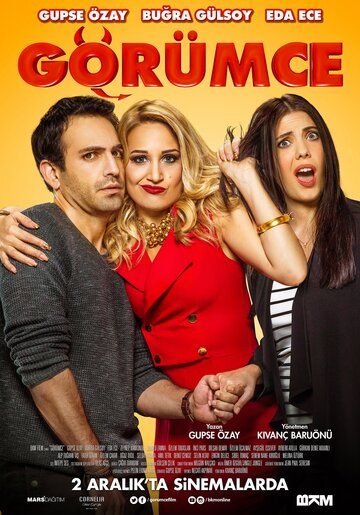 Постер фильма «Золовка»