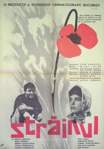 Постер фильма «Чужак»