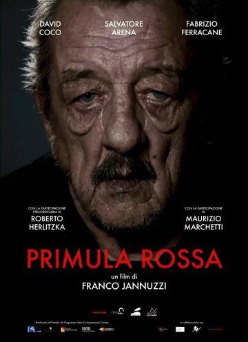 Постер фильма «Primula Rossa»