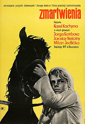 Постер фильма «Терзания»