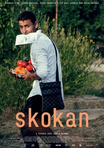 Постер фильма «Skokan»