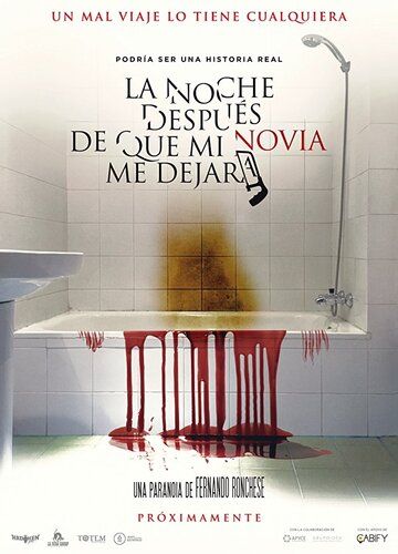 Постер фильма «La noche después de que mi novia me dejara»