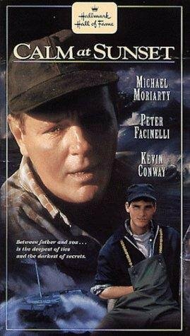 Постер фильма «После бури»