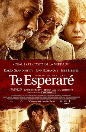 Постер фильма «Te esperaré»