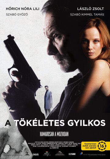 Постер фильма «Идеальный убийца»