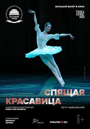 Постер фильма «Спящая красавица»