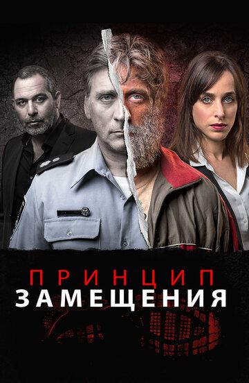 Постер фильма «Принцип замещения»