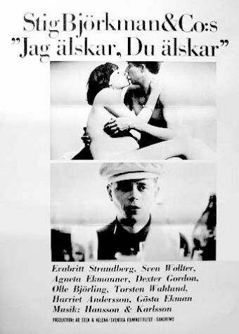 Постер фильма «Jag älskar, du älskar»