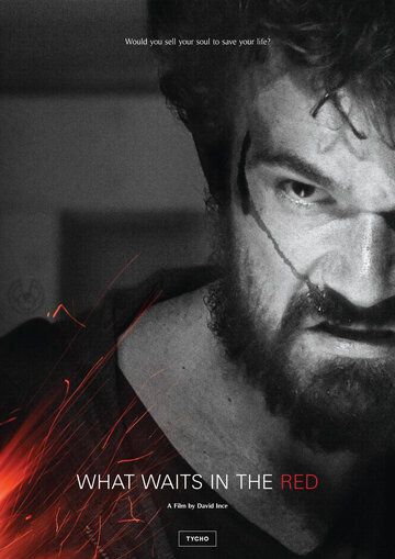 Постер фильма «Что ждёт в красном»