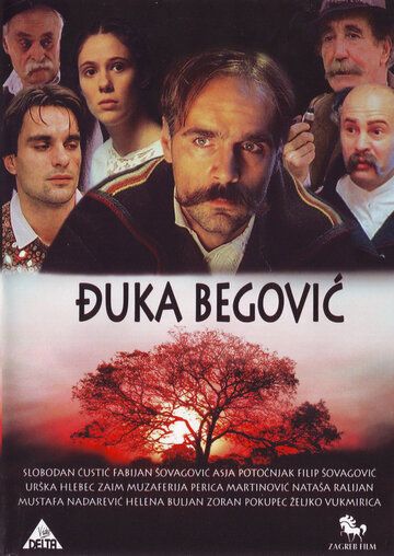 Постер фильма «Djuka Begovic»