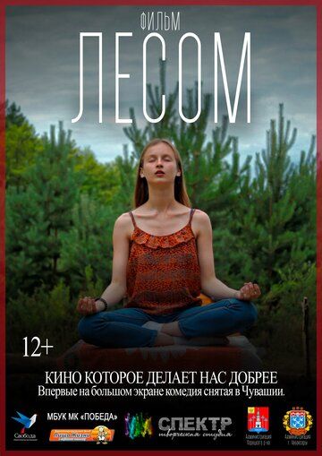 Постер фильма «Лесом»