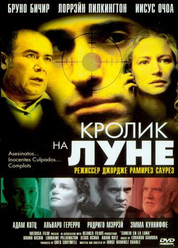 Постер фильма «Кролик на Луне»