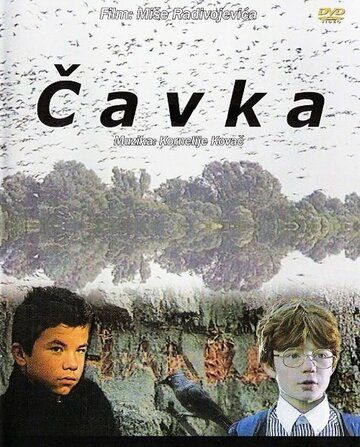 Постер фильма «Галка»