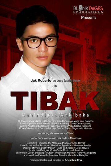 Постер фильма «Tibak»