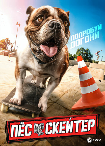 Постер фильма «Пёс-скейтер»