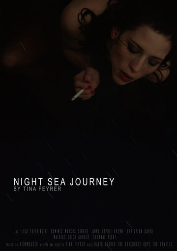 Постер фильма «Night Sea Journey»
