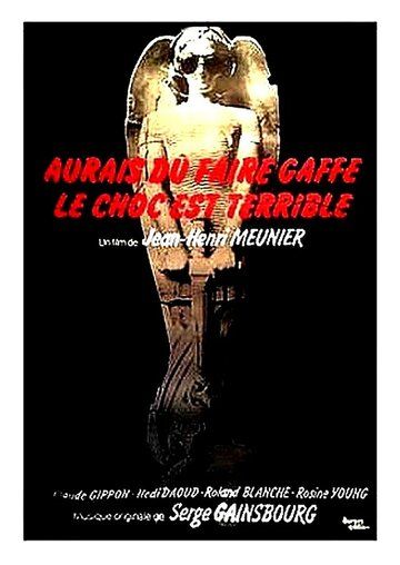 Постер фильма «Aurais dû faire gaffe... le choc est terrible»