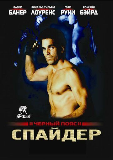 Постер фильма «Черный пояс 2: Спайдер»