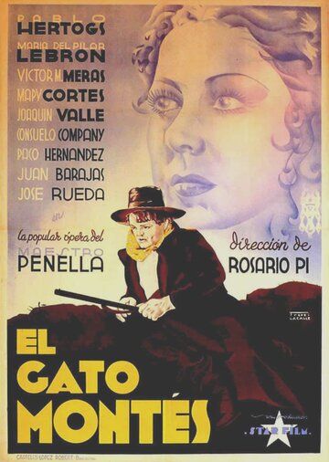 Постер фильма «El gato montés»