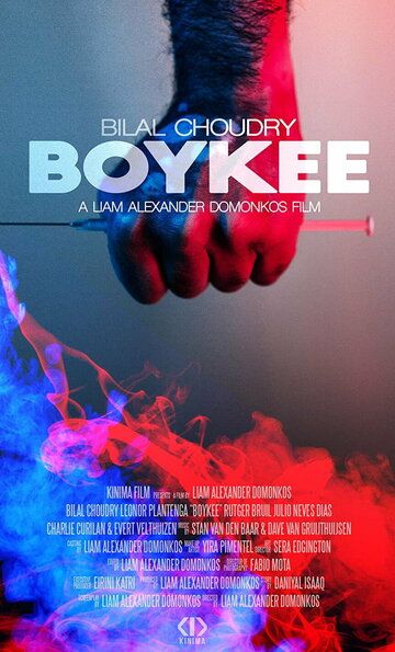 Постер фильма «Boykee»