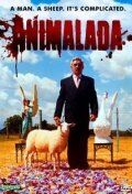 Постер фильма «Глупость»