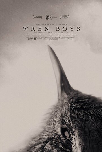 Постер фильма «Wren Boys»
