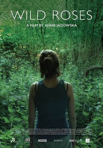Постер фильма «Дикие розы»