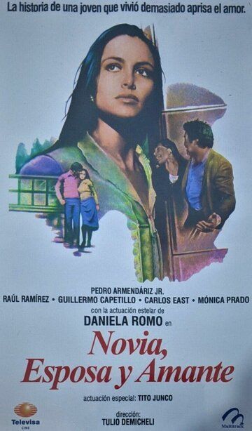 Постер фильма «Novia, esposa y amante»