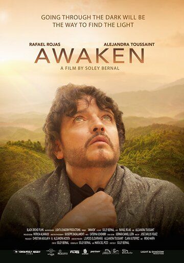 Постер фильма «Despertar: Awaken»