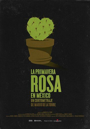 Постер фильма «Primavera Rosa en México»