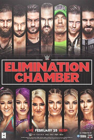 Постер фильма «WWE Камера ликвидации»