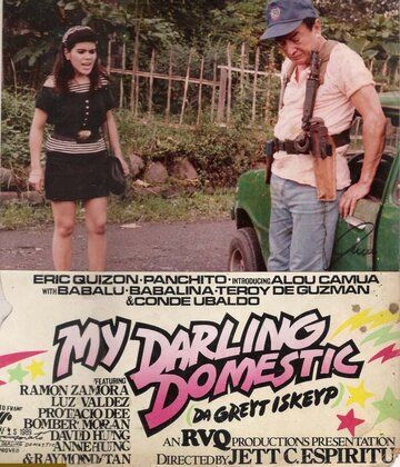 Постер фильма «My Darling Domestik»