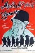 Постер фильма «Кот под шлемом»