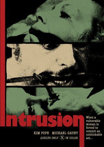 Постер фильма «The Intrusion»