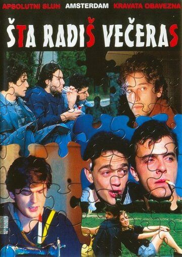 Постер фильма «Sta radis veceras»