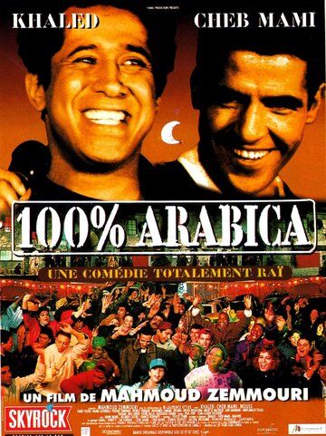 Постер фильма «100% араб»