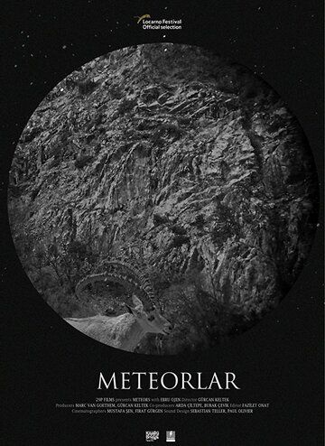 Постер фильма «Meteorlar»
