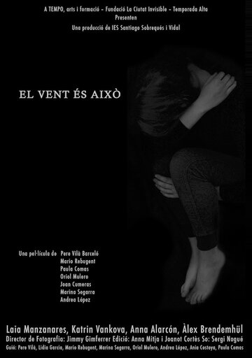 Постер фильма «El vent és això»