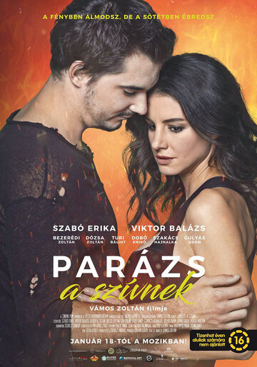 Постер фильма «Parázs a szívnek»