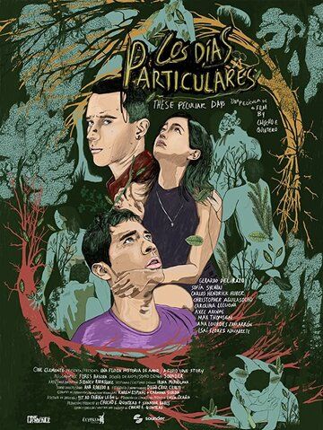 Постер фильма «Los días particulares»