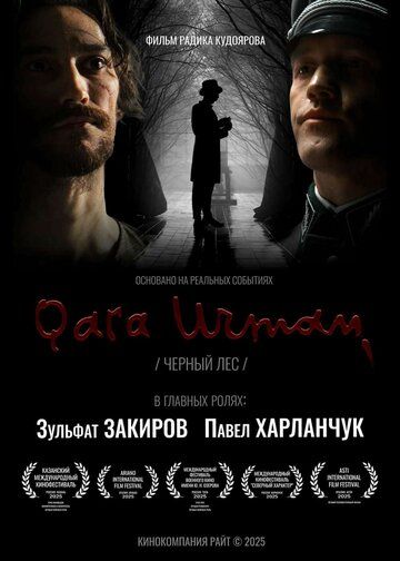 Постер фильма «Чёрный лес»