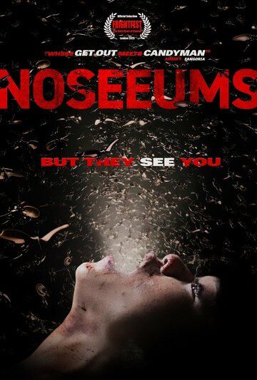 Постер фильма «Noseeums»
